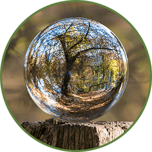 glass bubble with tree reflected inside 